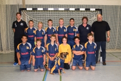 mD_HSG_2012-2013