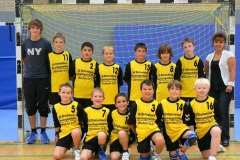 mE_HSG_2008-2009