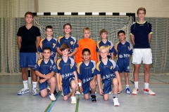 mE_HSG_2012-2013
