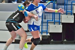 Handball, Frauen. HSG Dietzenbach : SG Hainburg
