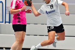 Handball Frauen, HSG Dietzenbach : HSG Hanau,Handball Frauen, HSG Dietzenbach : HSG Hanau