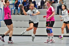 Handball Frauen, HSG Dietzenbach : HSG Hanau,Handball Frauen, HSG Dietzenbach : HSG Hanau