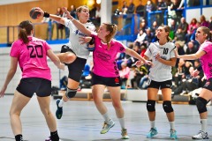 Handball Frauen, HSG Dietzenbach : HSG Hanau,Handball Frauen, HSG Dietzenbach : HSG Hanau