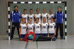 wA_HSG_2010-2011_1