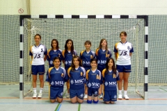 wD_HSG_2009-2010