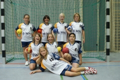 wE_HSG_2010-2011