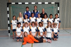 wE_HSG_2011-2012