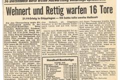 SGD - Zeitungsartikel